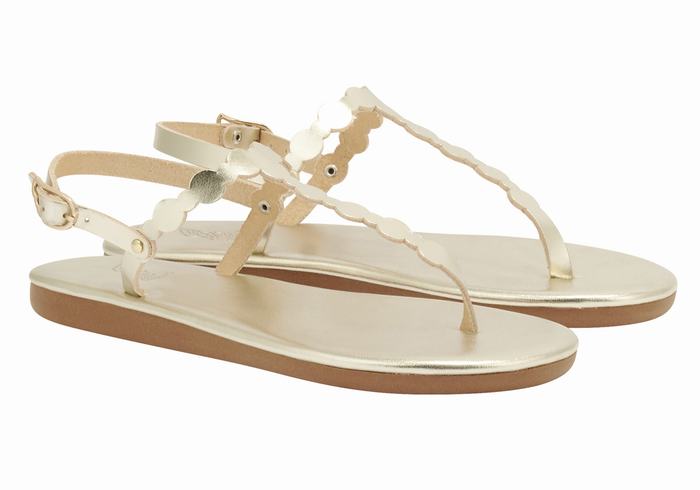 Sandales Bride Arrière Ancient Greek Sandals Velos Flip Flop   | JAZ-8406889